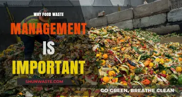Sustainable Futures: The Critical Role of Food Waste Management