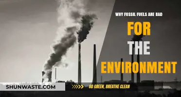 Fossil Fuels' Devastating Impact: Environmental Consequences We Can't Ignore