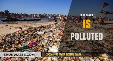 Unveiling the Causes Behind the Ganga River's Pollution Crisis