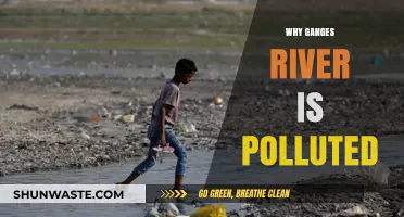 Ganges River Pollution Crisis: Causes, Impact, and Urgent Solutions