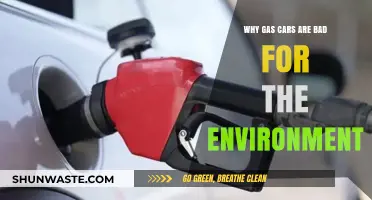 Gas Cars' Environmental Impact: Pollution, Climate Change, and Sustainability Concerns