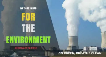 Gas's Environmental Impact: Harmful Effects on Climate and Ecosystems