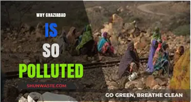 Ghaziabad's Pollution Crisis: Uncovering the Causes and Consequences