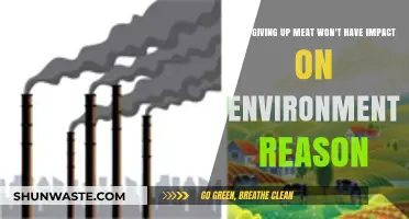 Why Giving Up Meat Alone Won't Save the Environment