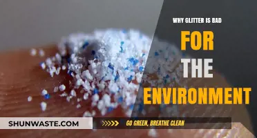 Glitter's Dark Side: Uncovering Its Harmful Environmental Impact