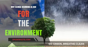Global Warming's Devastating Impact: How It Harms Our Environment