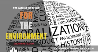 Globalization's Green Impact: How Interconnected Economies Benefit Our Planet
