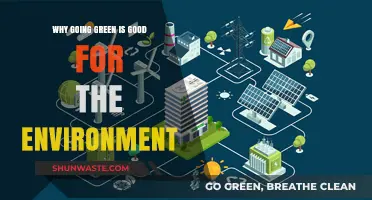Sustainable Living: How Going Green Benefits Our Planet and Future