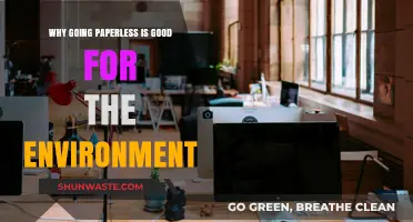 Eco-Friendly Benefits: How Going Paperless Protects Our Planet