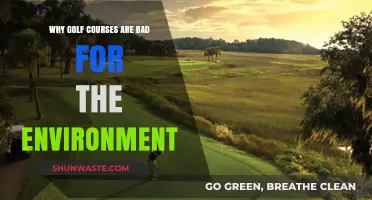 Golf Courses' Environmental Impact: Water Waste, Habitat Loss, and Pollution