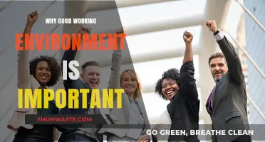 Boost Productivity and Retention: The Power of a Positive Workplace