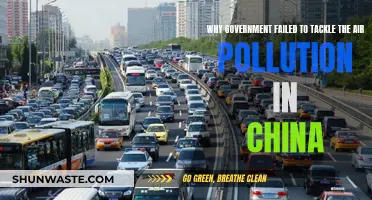 China's Air Pollution: Government's Failure to Act