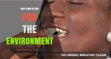 Chewing Gum's Sticky Environmental Impact: Pollution and Waste Concerns