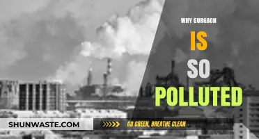 Gurgaon's Pollution Crisis: Causes, Impacts, and Urgent Solutions Needed