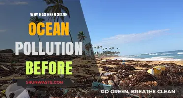 Unraveling the Complexities of Solving Ocean Pollution Before It's Too Late