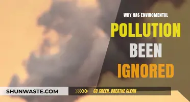 The Silent Crisis: Why Environmental Pollution Remains Overlooked