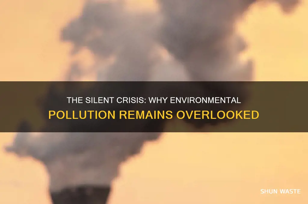 why has enviromental pollution been ignored