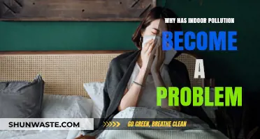 Indoor Air Quality Crisis: Uncovering the Hidden Dangers of Pollution