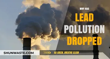 Declining Lead Pollution: Key Factors Driving the Environmental Success Story