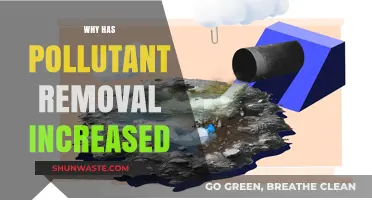 Rising Pollutant Removal: Key Factors Driving Cleaner Air and Water