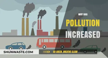 Rising Pollution Levels: Uncovering the Causes Behind the Global Surge