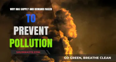 Supply and Demand's Failure: Why Pollution Persists Despite Economic Principles