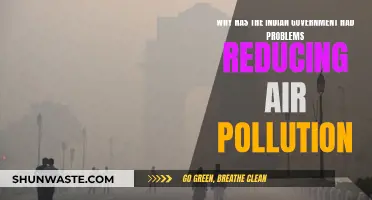 Air Pollution in India: Government's Struggle for Clean Air