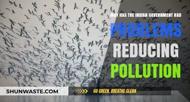 Challenges in India's Fight Against Pollution: Government Struggles Explained