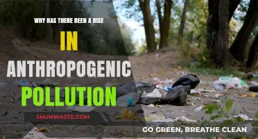Human Activities Fueling the Surge in Anthropogenic Pollution