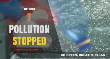 Why Pollution Persists: Unraveling the Complex Barriers to a Cleaner World