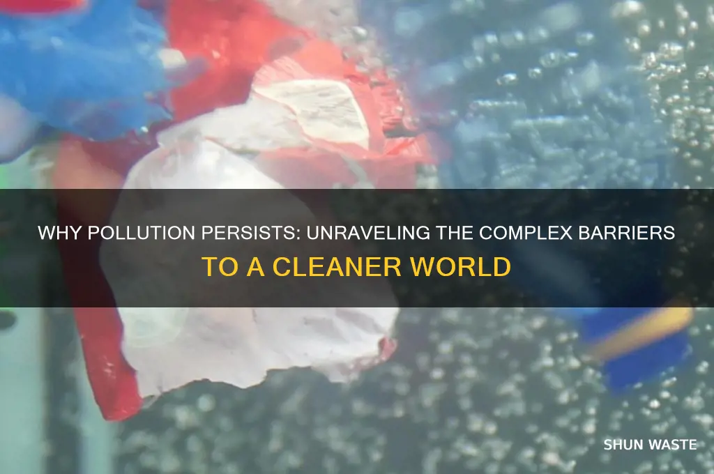 why hasn t pollution stopped