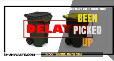 Why Haven't Waste Management Services Been Picked Up?