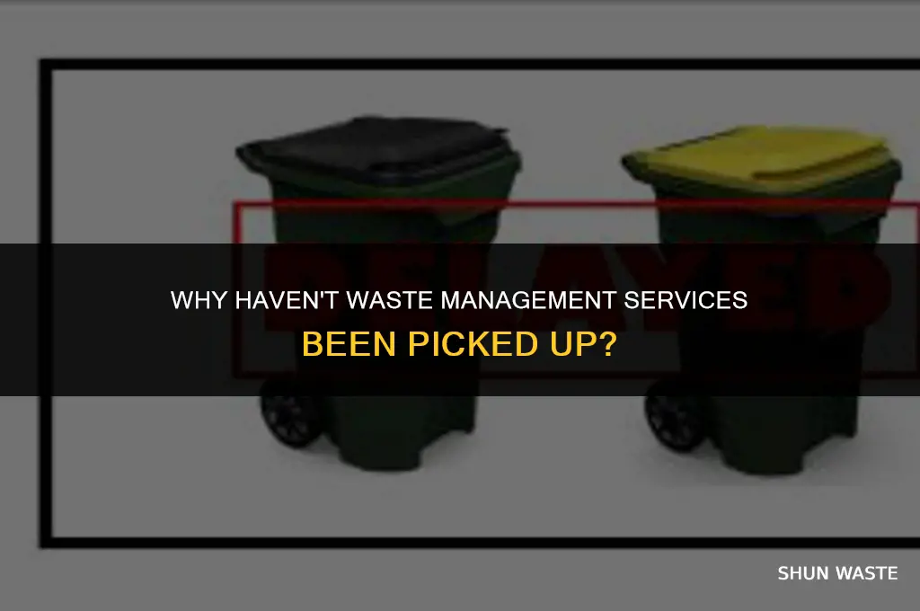 why hasn