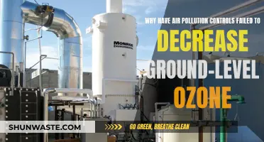 Air Pollution Controls: Why is Ground-Level Ozone Still High?