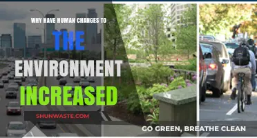 Human Impact: How Our Actions Accelerate Environmental Transformation