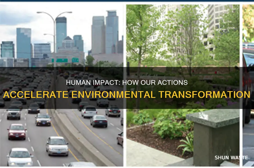 why have human changes to the environment increased