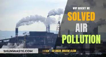 The Stubborn Air Pollution Problem: Why It Persists