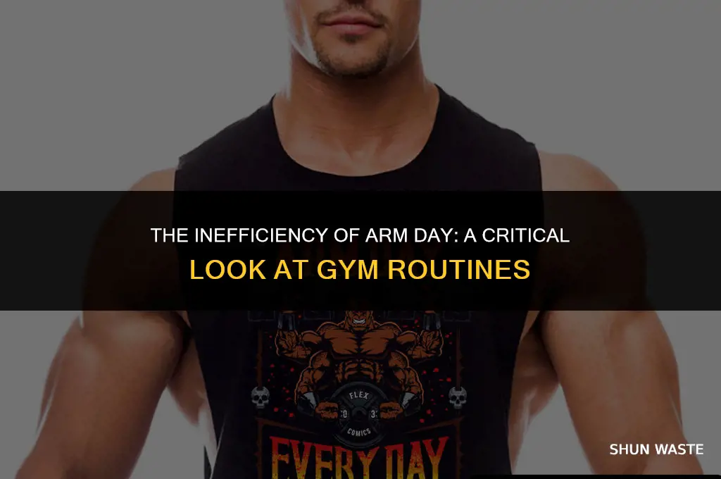 why having an arm day is a waste of time