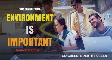 Fostering Productivity: The Importance of a Healthy Work Environment