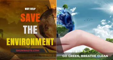 Protecting Our Planet: Why Saving the Environment Matters for All