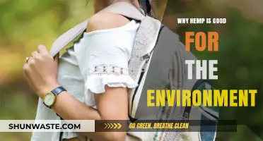 Hemp's Eco-Friendly Impact: Sustainable Solutions for a Greener Planet