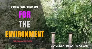 Home Gardening: A Sustainable Way to Nurture the Environment