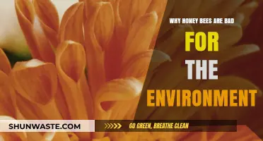 Honey Bees' Dark Side: Environmental Impacts and Ecosystem Disruption Explained