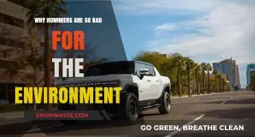 Hummers' Environmental Impact: Fuel Inefficiency, Emissions, and Ecological Harm Explained