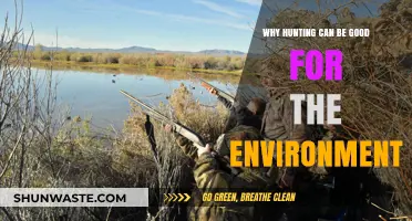 Sustainable Hunting Practices: How They Benefit Ecosystems and Wildlife