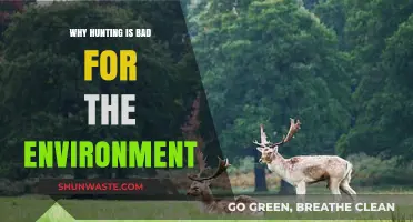 Hunting's Harmful Impact: How It Damages Ecosystems and Wildlife
