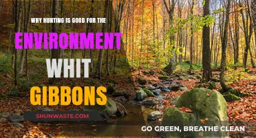 Hunting's Eco-Impact: Whit Gibbons' Perspective on Conservation Benefits