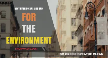 Hybrid Vehicles' Hidden Environmental Costs: Uncovering the Green Myth