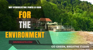 Hydroelectric Power: A Sustainable, Eco-Friendly Energy Solution for Our Planet
