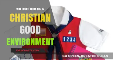 Why AHG's Christian Environment Fell Short for Me